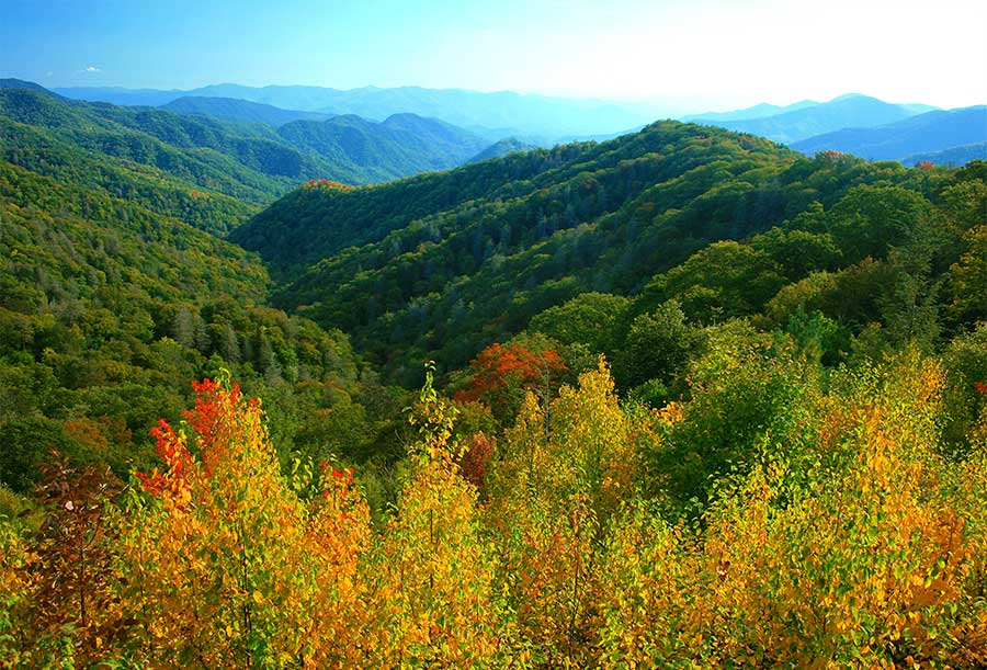 Beautiful photo of the Great Smoky Mountains.